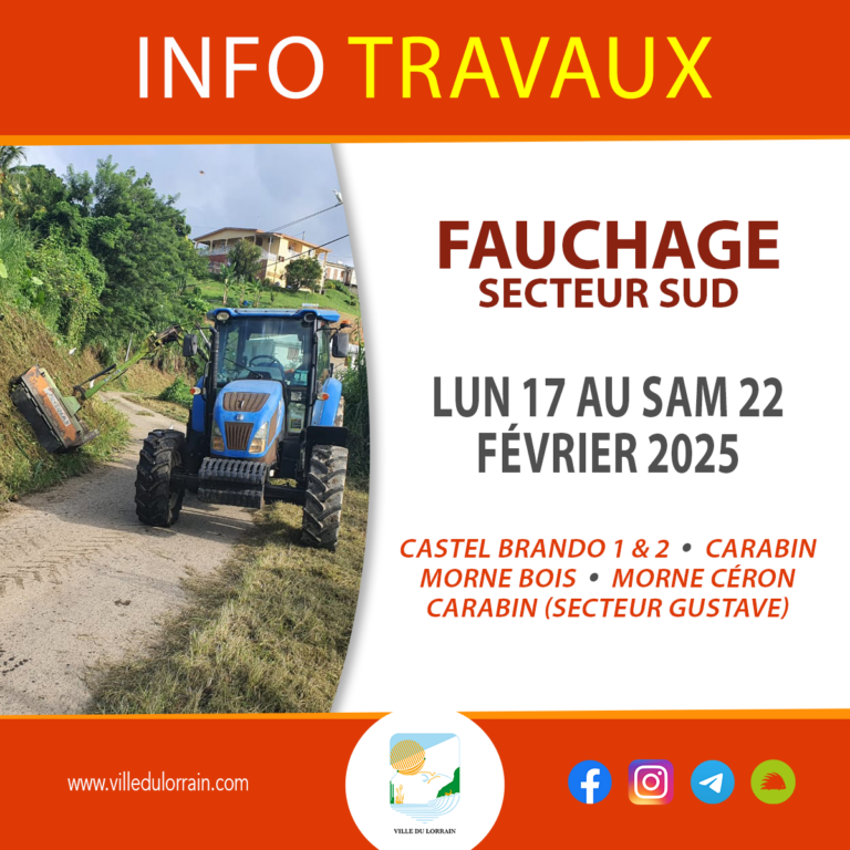 INFO TRAVAUX - FAUCHAGE DU 17 AU 22 FEVRIER 2025